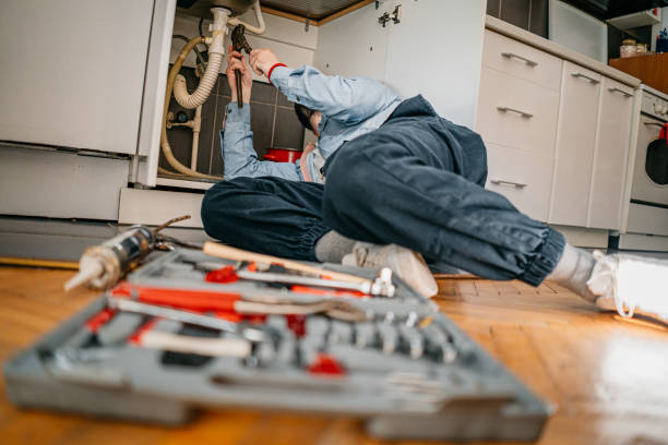 Best Commercial Plumbing Services  in Dano, CO