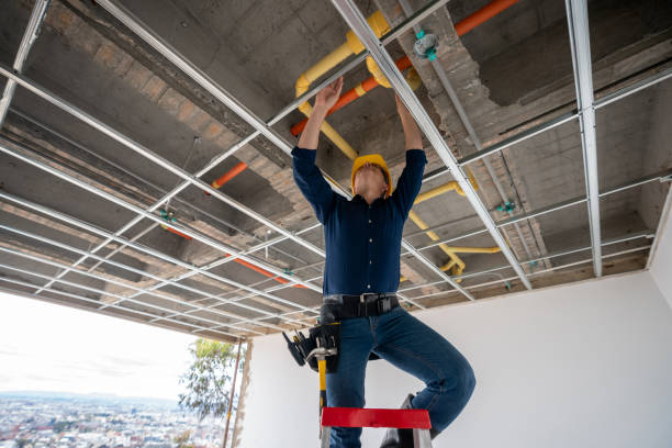 Best Plumbing Inspection Services  in Dano, CO